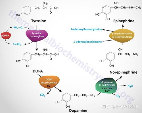 衍生物的概念是什么?