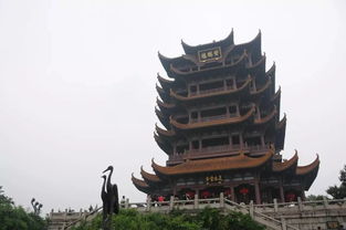 江城五月落梅花全诗，李白江城五月落梅花
