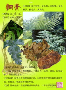 嵴怎么读音是什么意思