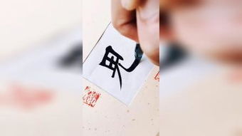 指出劳动创造了人本身，指出公共政策即为公共而制定的政策