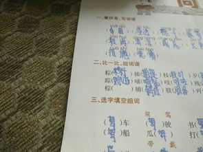 踪和棕的组词，棕的组词三年级上册