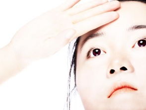 做人高调是什么意思，这么高调是什么意思