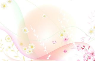 淡雅的意思淡雅的意思是什么