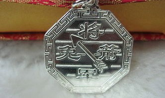 什么叫将军箭