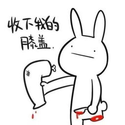 脚髁的读音脚髁的读音是什么