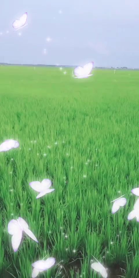 绿油油的拼音，绿油油的大主宰11扩写48