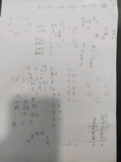 阴的反义词是。