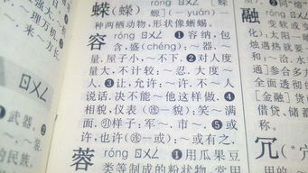宽恕的意思