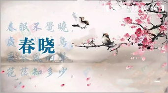 《春晓》原文及赏析