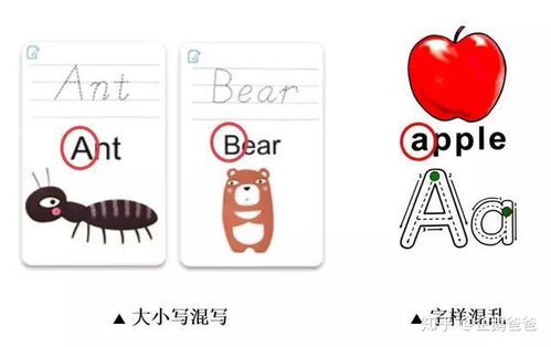 脚步 什么意思