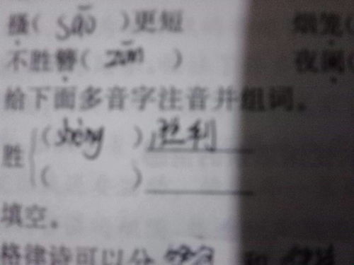 擒怎么组词和拼音怎么写，擒字组词读音