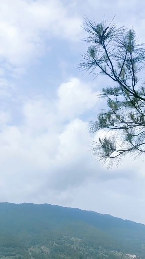 这山望着那山高打一成语成语，这山望着那山高下一句是什么谚语