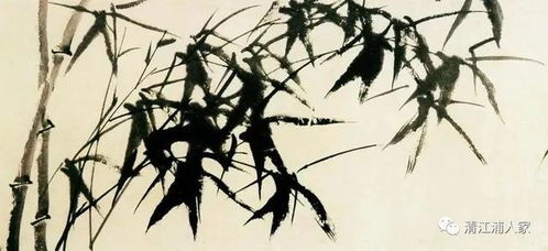 荆怎么读，坎坷荆棘怎么读