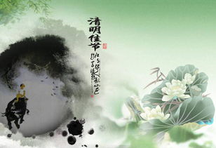 无花无酒过清明全诗意思