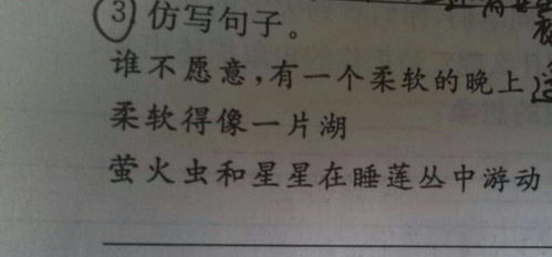 伴侣造句10字，伴侣造句和意思