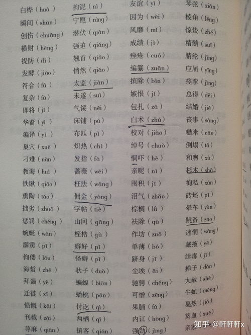 自由生长拼音，扎根生长拼音