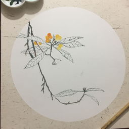 东园载酒西园醉,南陌寻花北陌归，东园载酒西园醉体现了人们什么心情