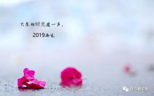荣幸之至，荣幸是谦词还是敬词