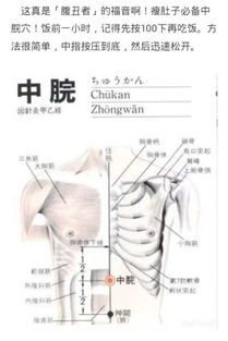 中脘的解释中脘的解释是什么