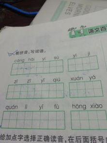 脸开头的四字词语