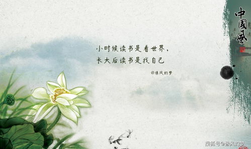 皎洁拼音怎么读，皎洁拼音组词