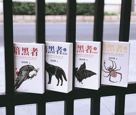 相悖宠儿的读音