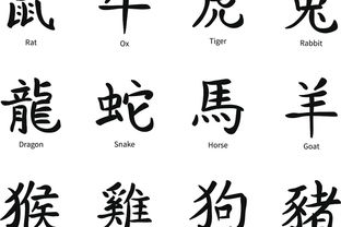 乌的笔顺 正确，鸟的笔顺怎么写笔画