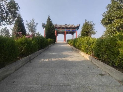 顶岗什么意思