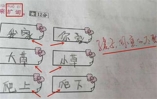 主字组词有哪些?