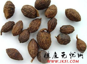 草果是什么东西`?有什么用`?