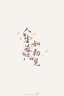 人生若只如初见啥意思相遇，人生若只如初见下句是什么意思