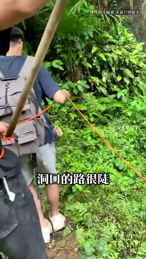 未果,寻病终,后遂无问津者——打一成语