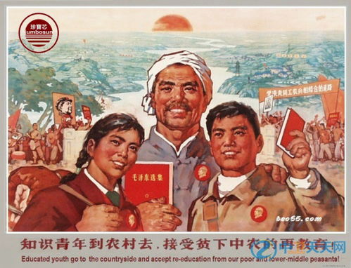 知青下乡是什么意思