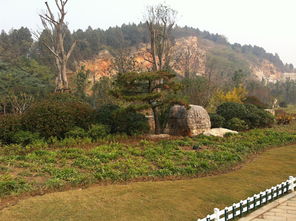 龟山怎么读，龟山寺在莆田哪里