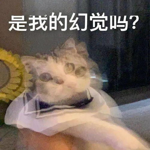 不明觉厉是什么意思啊?
