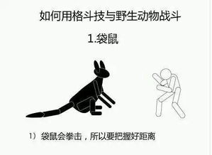 博闻强识是什么意思