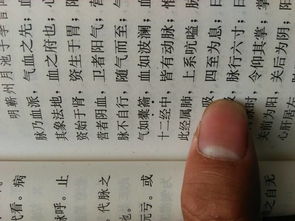 划船的读音，刬的读音