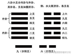 卦爻是什么意思