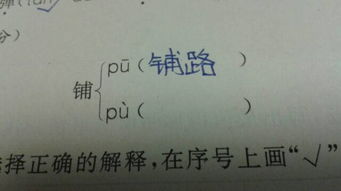 饺组词和读音怎么写，饺怎么组词怎么读