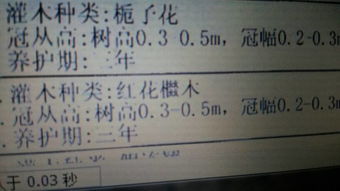 鸡冠花字的拼音，花字的拼音和笔顺