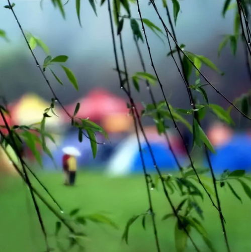 春寒原文_翻译及赏析