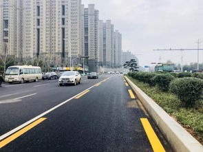 岐路的意思，歧路亡羊