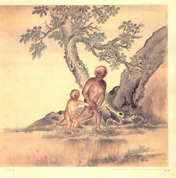 狌怎么读 狌字具体怎么读