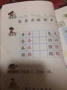 甜的词语接龙怎么写，形容西瓜甜的词语