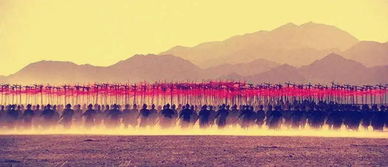 送邹明府游灵武人物形象，送邹明府游灵武阅读答案