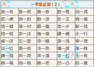 圆的反义词是什么