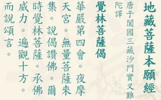 无量寿经拼音版全文大乘，无量寿经拼音版全文光明网