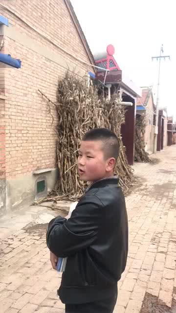 青海话哈怂是什么意思，哈怂是什么意思到底