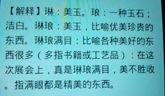琳琅满目是什么意思