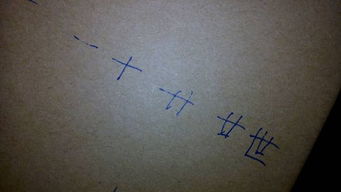 世笔画顺序怎么写